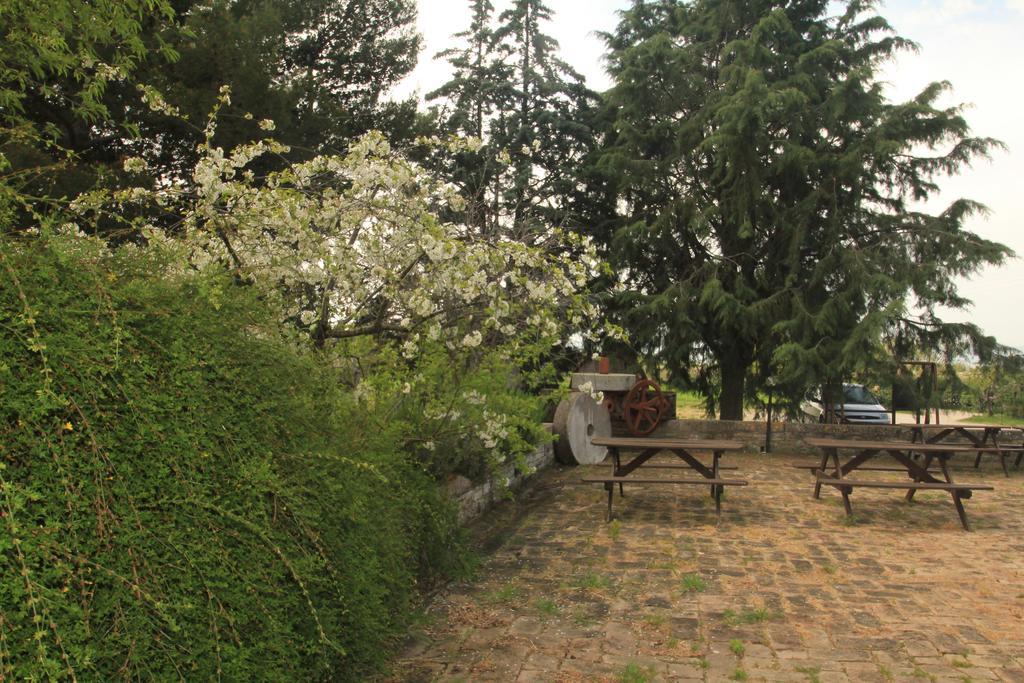 Hotel La Quiete Asyż Zewnętrze zdjęcie